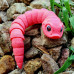 Adorable Articulated Baby Hognose Snake